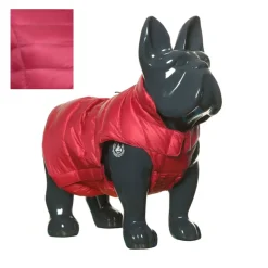 Jott Dog Jacket