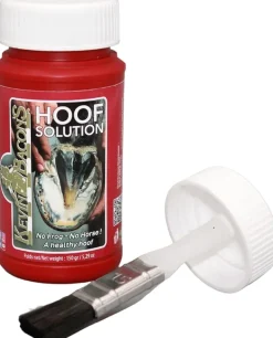 Kevin Bacon Hoof Solution