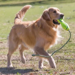 Kong AirDog Fetch Stick with Rope
