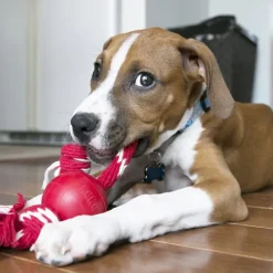 Kong Ball With Rope