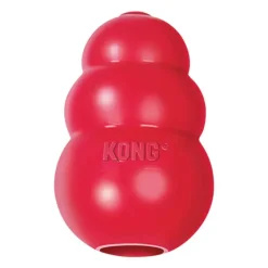 Kong Classic