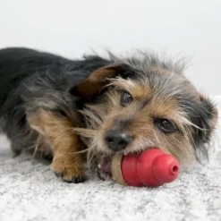 Kong Marathon treat Chicken Medium