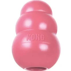 Kong Puppy