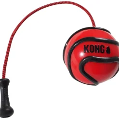 Kong Wavz Bunjiball