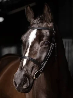 LeMieux Arika Cavesson Bridle