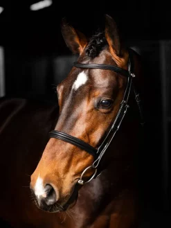 LeMieux Arika Cavesson Bridle