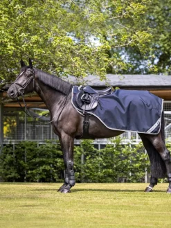 LeMieux Arika Exercise Sheet