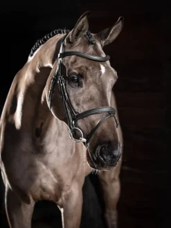 LeMieux Arika Flash Bridle