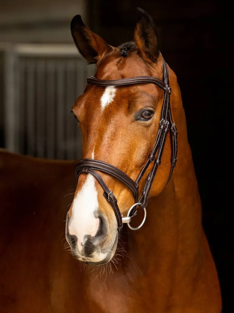 LeMieux Arika Flash Bridle