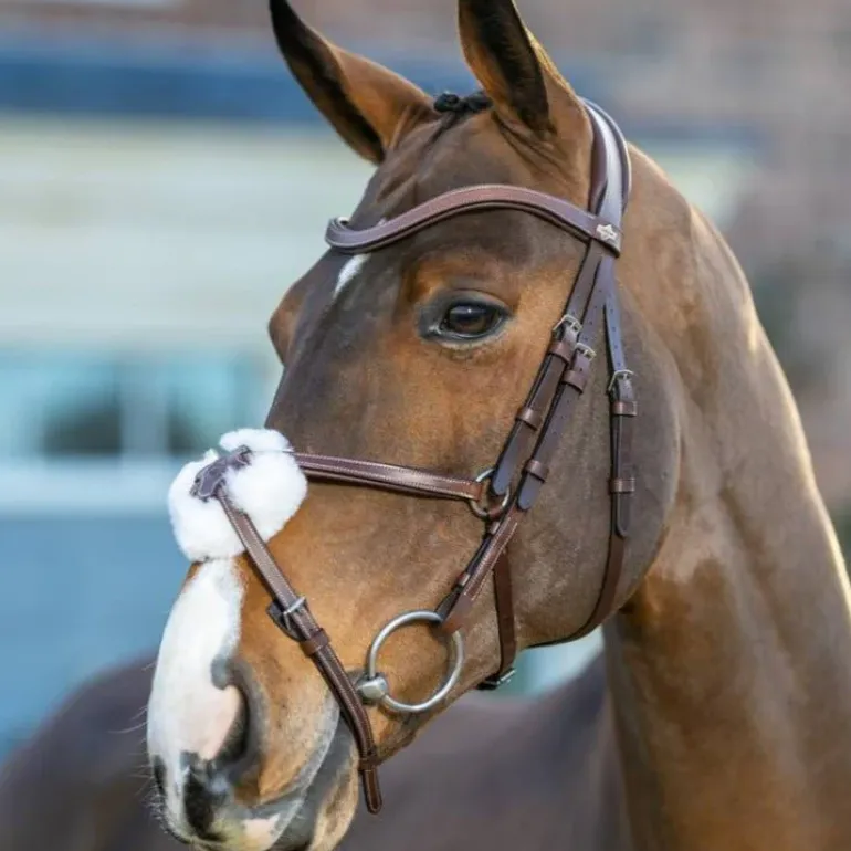 LeMieux Arika Grackle Bridle