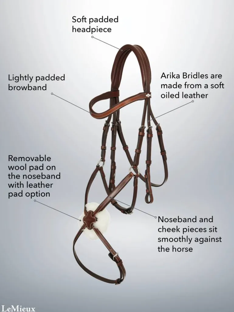 LeMieux Arika Grackle Bridle