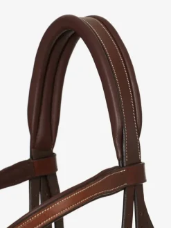 LeMieux Arika Grackle Bridle