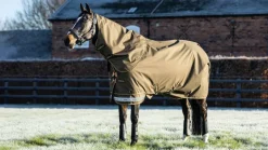 LeMieux Arika Ripstop 200g Turnout Rug