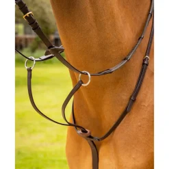 LeMieux Arika Running Martingale
