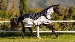 LeMieux Arika Shower-Tek Fly Rug