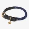 Lemieux Ascot Rope Dog Collar
