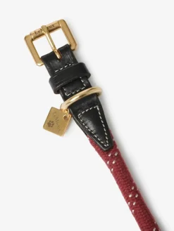Lemieux Ascot Rope Dog Collar