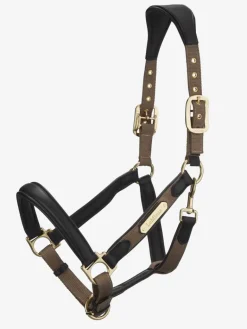 LeMieux Capella Headcollar
