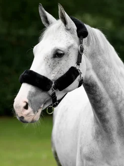 LeMieux Comfort Headcollar