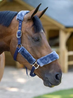 LeMieux Comfort Headcollar