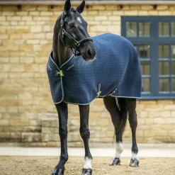 LeMieux Kudos 3D Mesh Travel Rug