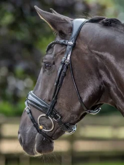 LeMieux Kudos Patent Dressage Bridle