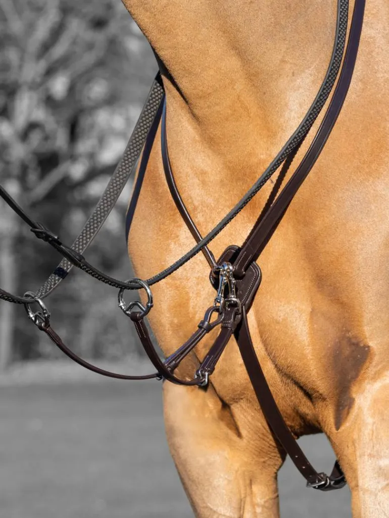 LeMieux Kudos Running Martingale