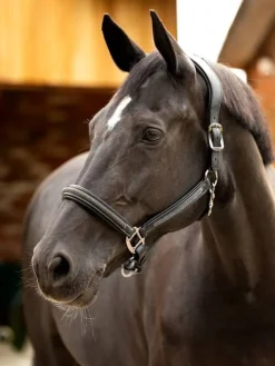 LeMieux Leather Crystal Headcollar