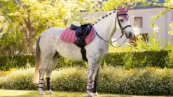 LeMieux Loire Classic Close Contact Square SS25