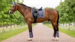 LeMieux Loire Classic Dressage Square SS24