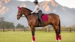 LeMieux Loire Classic Dressage Square AW24