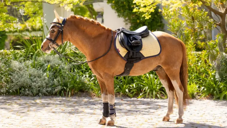 LeMieux Mini Suede Close Contact Square SS25