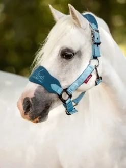 LeMieux Mini Vogue Fleece Headcollar and Rope