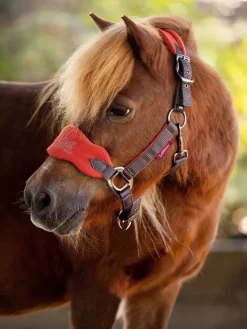 LeMieux Mini Vogue Fleece Headcollar and Rope