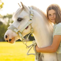 LeMieux Mini Vogue Headcollar SS24