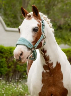 LeMieux Mini Vogue Headcollar & Leadrope SS25