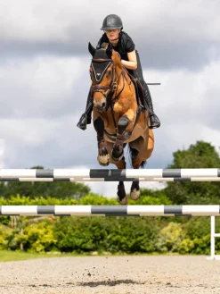 LeMieux Puissance Fly Hood