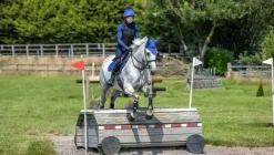 LeMieux Spectrum Fly Hood