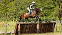 LeMieux Suede Close Contact Square SS24