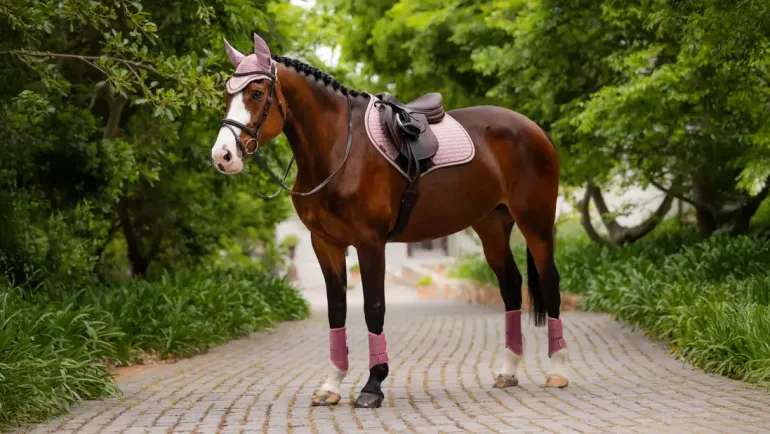 LeMieux Suede Close Contact Square SS25