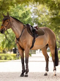 LeMieux Suede Close Contact Square AW24