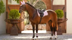 LeMieux Suede GP Square SS25