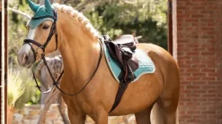 LeMieux Suede GP Square SS25