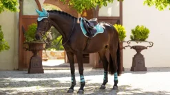 LeMieux Suede GP Square SS25