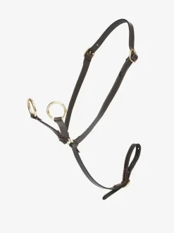 LeMieux Toy Pony Martingale