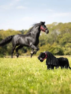 LeMieux Toy Pony Spike