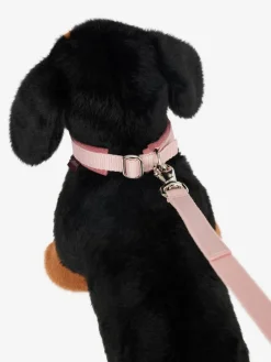 LeMieux Toy Puppy Collar & Lead