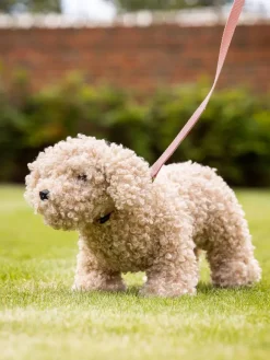 LeMieux Toy Puppy Collar & Lead