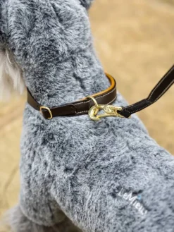 LeMieux Toy Puppy Collar & Lead AW24