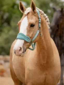 LeMieux Vogue Headcollar & Leadrope SS25